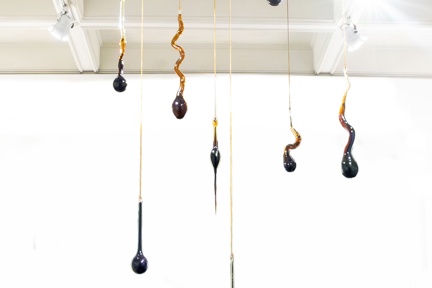 Soil glass installation — The Soil We Don’t See